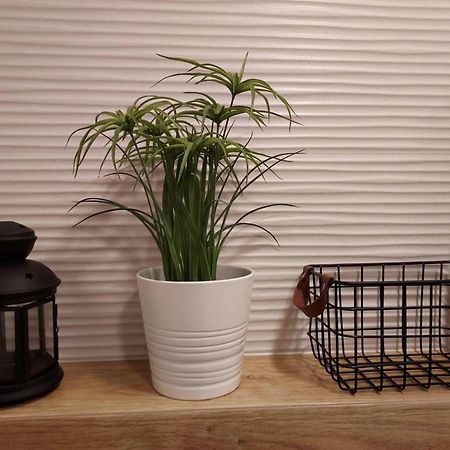 Apartament Sun&Fun - Rowy Rowy  Esterno foto